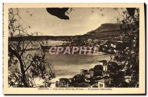 Old Postcard Menton Vue Prize between Olives Tour intervalley