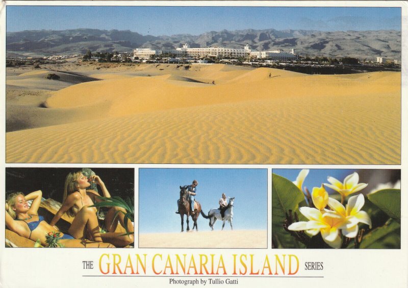 GRAN CANARIA, Multiview, Canary isands, Spain - Vintage Large POSTCARD