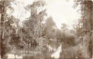 Nature's Dream by Scheuer Postcard to Hazel Northland Jackson Michigan