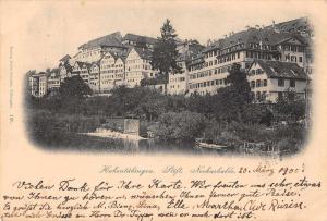 Neckarholde Germany birds eye view Hohentubingen Castle antique pc Z25214