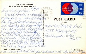 Maine ME Live Lobsters Postcard Old Vintage Card View Standard Souvenir Postal