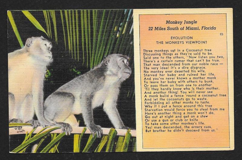 'Monkey Jungle' Monkeys in Tree Miami FL Unused c1930s