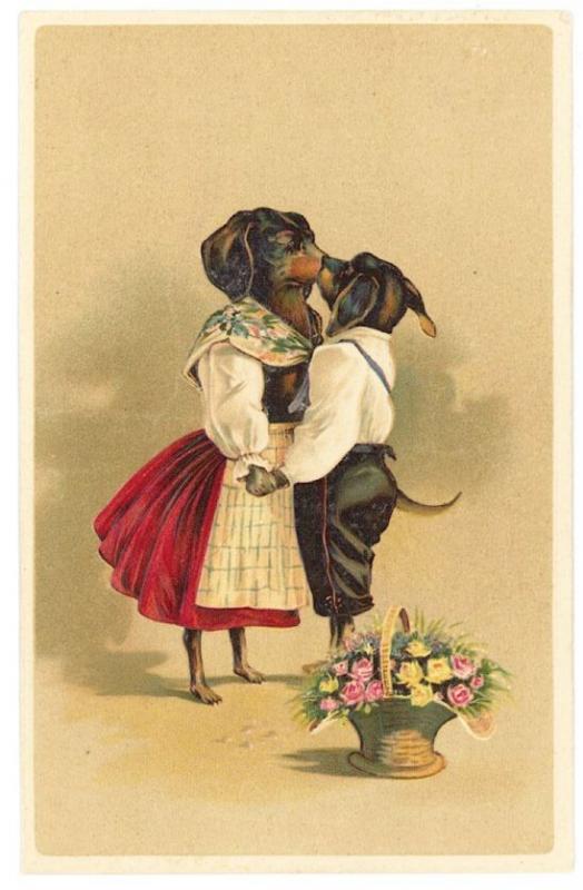 Dachshund Dogs Romantically Kissing PFB Publisher Postcard