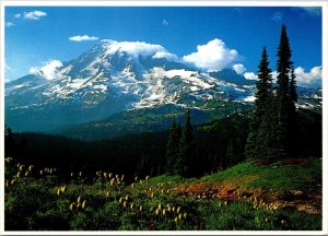 Washington Mt Rainier National Park