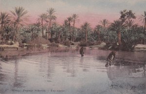 ALGERIA ,1900-1910s ; Paysage Saharien - Une Source