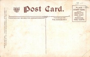 F97/ Black Americana Postcard c1910 Comic Kids Chicken Eggs Large Hat 16