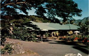 Kii, HAWAII, WAIOLI TEA ROOM, Manoa Valley, Postcard