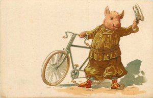 Postcard C-1910 Bicycle cycling pig comic humor undivided TP24-1036