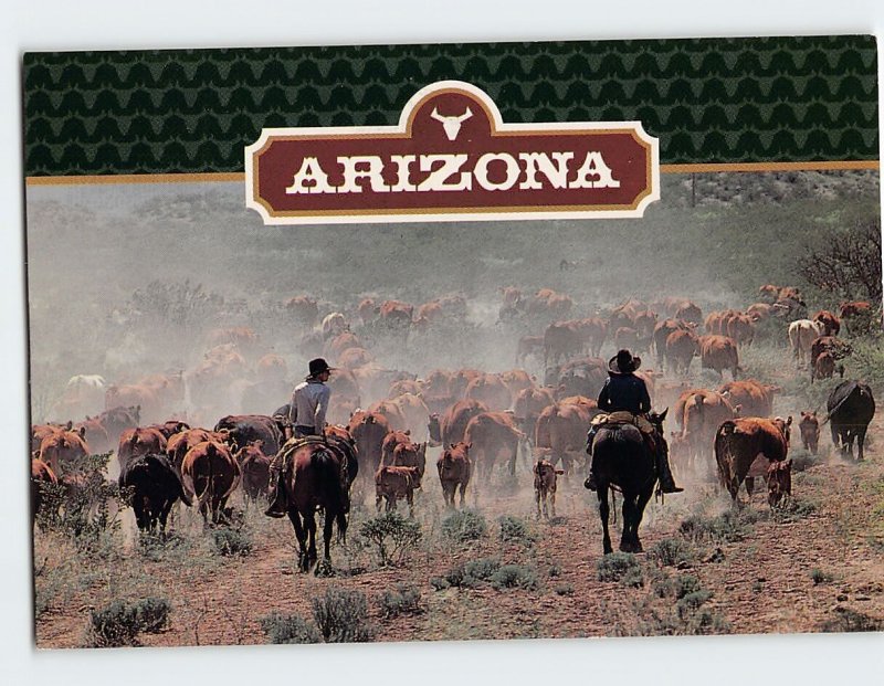 Postcard Arizona Roundup Photo by Bruce Berman Arizona USA