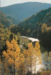 BF15702 gorges du tarn en automne  france  front/back image