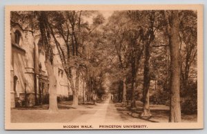 Princeton University McCosh Walk NJ Albertype Postcard X28