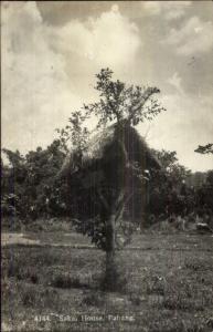 Penang Malaysia Sakai House in Tree c1920 Real Photo Postcard