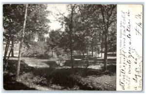 1907 Scene Bever Park Exterior View Cedar Rapids Iowa Vintage Antique Postcard