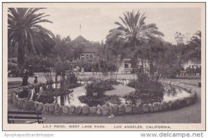 California Los Angeles Lily Pond West Lake Park