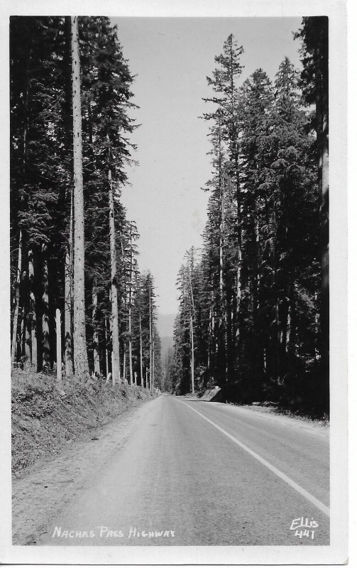RPPC: Naches Pass Highway, Washington, mint Ellis #441 (PC1619)