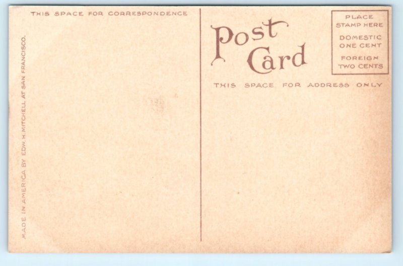 Seattle Washington WA Capitol Hill Residences Postcard