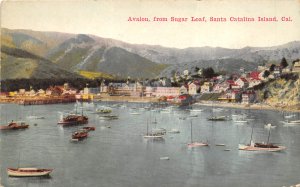 Avalon Santa Catalina California c1910 Postcard Sugar Loaf Harbor