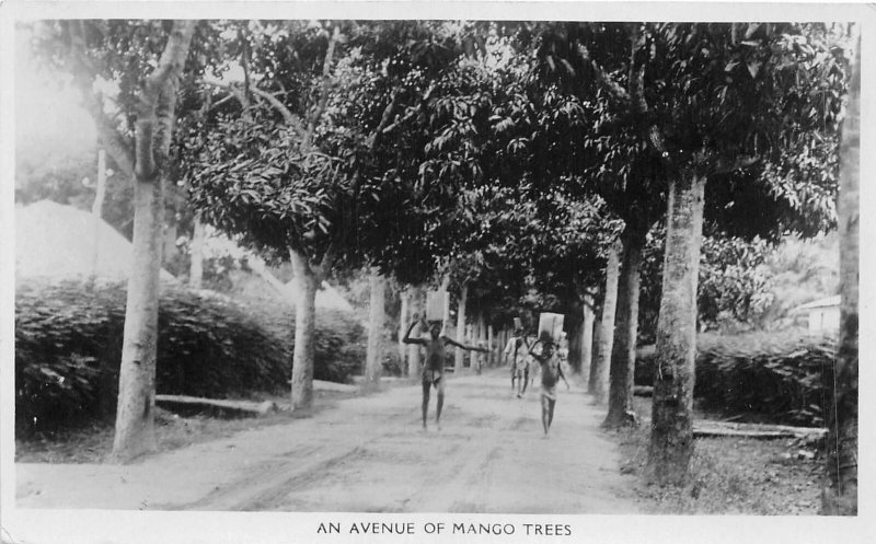 br106540 avenue of mango trees lagos nigeria