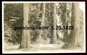 h5011 - VANCOUVER BC 1920s Stanley Park. Real Photo Postcard by Gowen