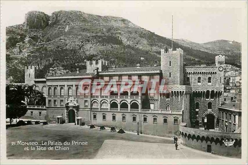 Modern Postcard Monaco Palace of the Prince and the Dog Tete