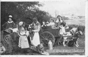 Belgium Laitiere flamande Group of Flemish Milk Maid Dog Cart Girl postcard B914
