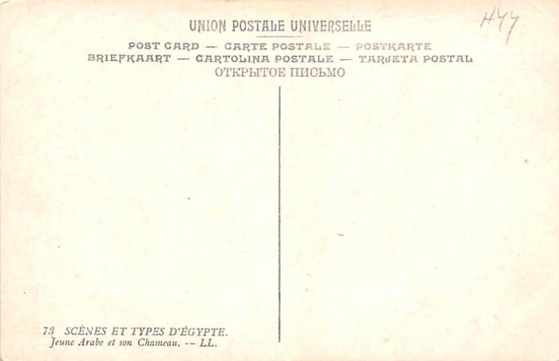 Egypt, Egypte, Africa Arab Boy and Camel  Arab Boy and Camel