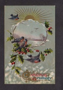 Christmas Greetings Bluebirds Birds Holly Embossed 1912 Postcard
