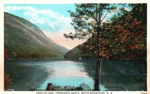 Vintage Postcard Profile Lake Franconia Notch White Mountains New Hampshire NH