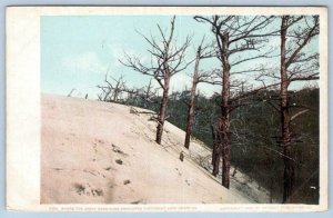Pre-1908 CAPE HENRY VIRGINIA*VA*WHERE THE GREAT SAND DUNE ENVELOPES THE FOREST