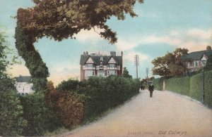 Queens Hotel Old Colywn Antique Denbighshire Welsh Postcard