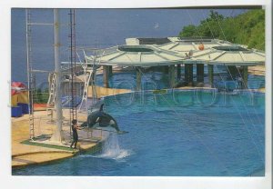 479080 1988 year China Hong Kong Ocean Park Old postcard