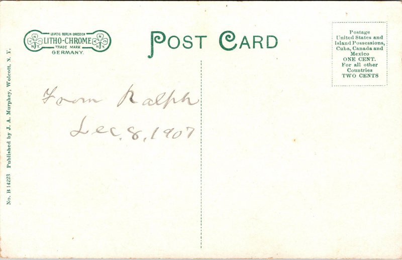 Postcard NY Wolcott The Falls