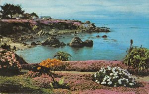 MAGIC CARPET Pacific Grove, CA Ocean View Boulevard 1973 Vintage Postcard