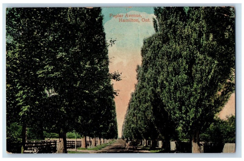 Hamilton Ontario Canada Postcard Scene of Poplar Avenue 1909 Antique Posted