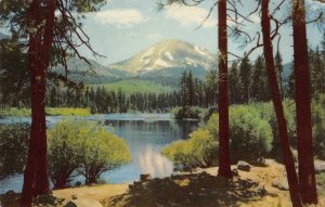 MOUNT LASSEN California Kodachrome c1950s Vintage Postcard