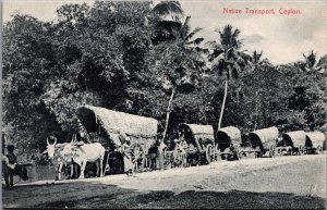 Sri Lanka Ceylon Native Transport Postcard C132