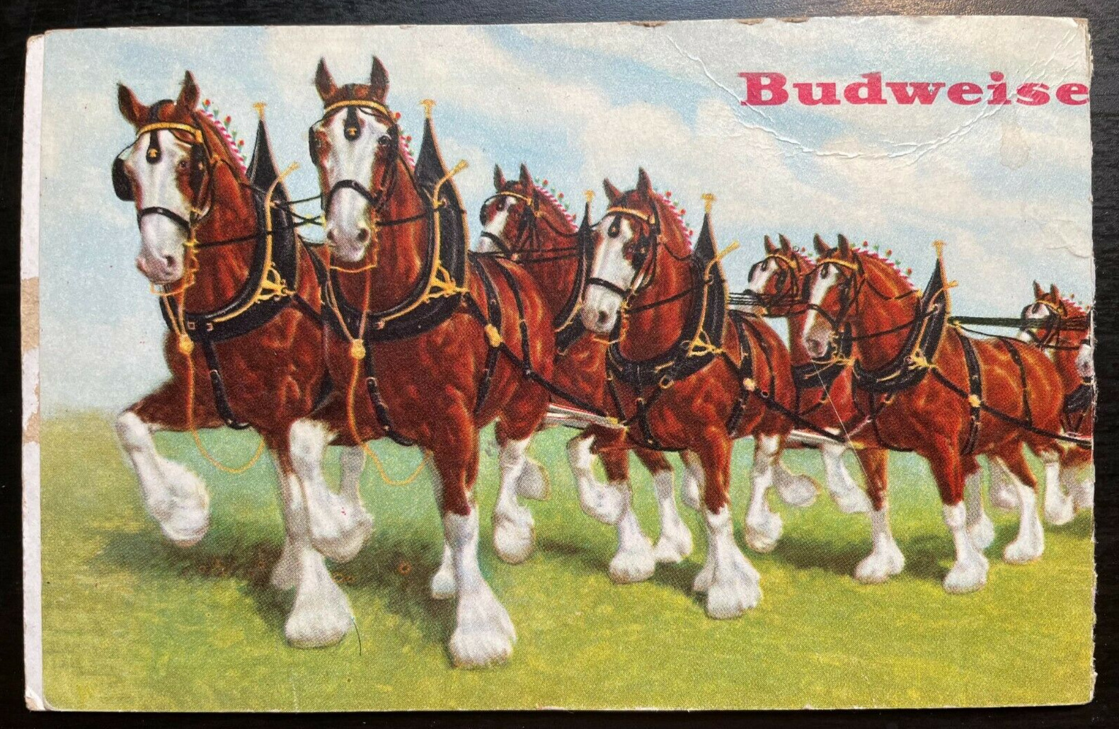 Vintage Postcard 1932 Budweiser EightHorse Hitches St. Louis Missouri