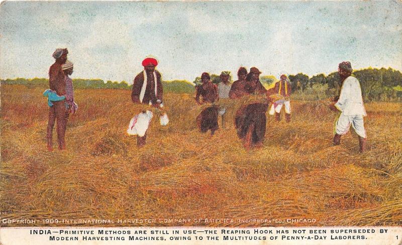 India~Natives Farming Wheat~International Harvester-Case IH~Chicago IL~1909 Pc