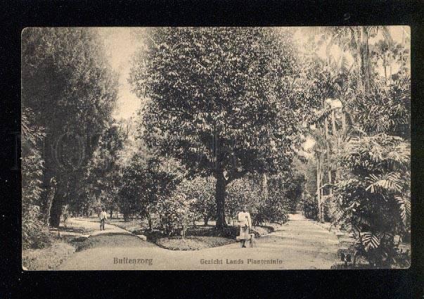 045361 HOLLAND INDIA INDONESIA Buitenzorg Vintage #3