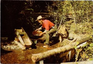 Gold Panning in British Columbia BC Unused Continental Postcard C10