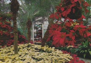 Interior View Of Conservatory Bellingrath Gardens Theodore Near Mobile Alabama