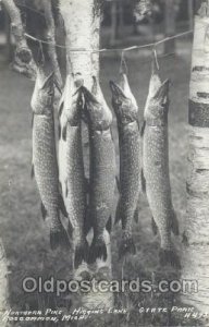 Roscommon, Michigan, USA Roscommon, Michigan, USA Fishing 1916 light wear, po...