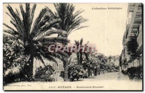 Hyeres - Riodet Boulevard - Palm - Old Postcard