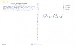 Horse-Pulled Circus Wagons Circus Wagon World Museum Postcard