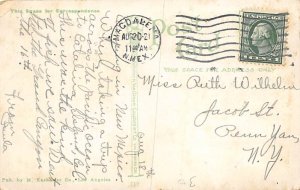 Flying Fish Catalina Island, CA., USA Fishing Postcard