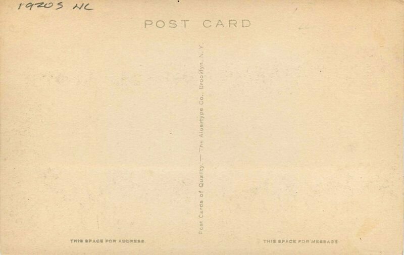 Massachusetts Berkshire Hills Albertype Pittsfield 1920s Postcard 22-4047