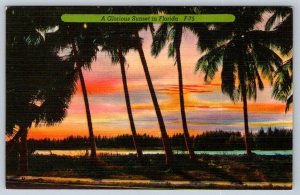 A Glorious Sunset In Florida, Vintage Linen Postcard 