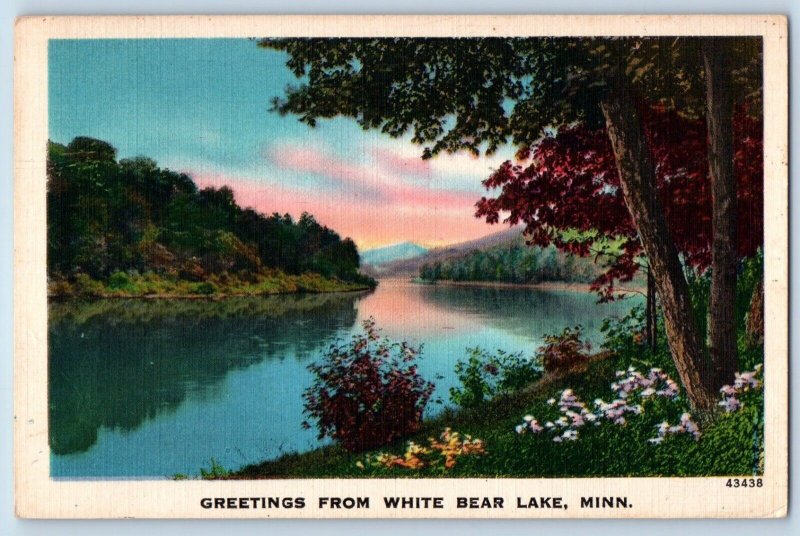 White Bear Minnesota MN Postcard Lake River Exterior View 1958 Vintage Antique