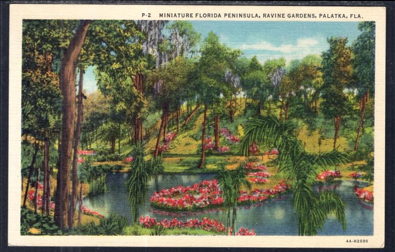 Miniature Florida Peninsula Ravine Gardens Palatka Fl Hippostcard