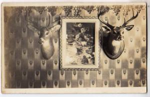 RPPC, Taxidermy, Deer Heads on Wall